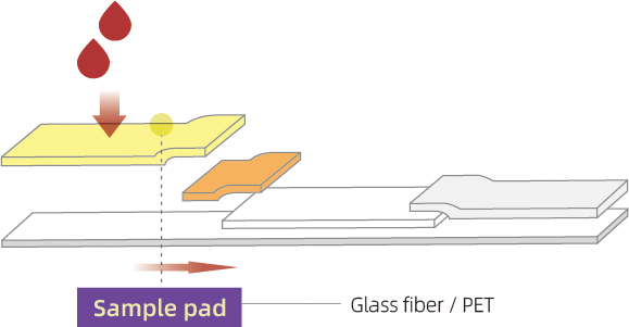 Glass fiber application cbt (3).jpg